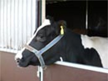 �Bild: Efi