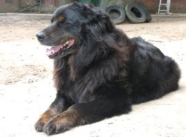 Bild von Jacky