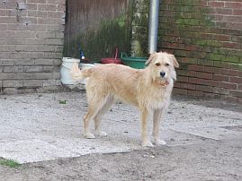 Bild von Waldo