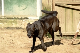 Bild von Ray