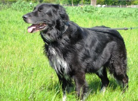 Bild von Waldo