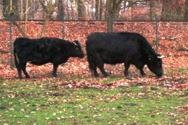 Bild von Mutter und Tochter.