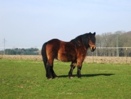 Bild von Flora.