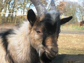 Bild von Maexchen.