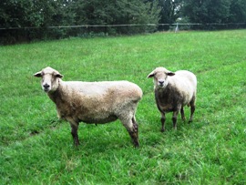 Bild von Peggy und Ann-Katrin