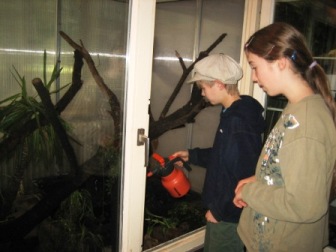 Bild: Einspruehen der Terrarien.