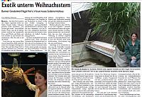 zur pdf-Datei