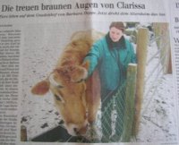 externer Link zum Bericht in berlinonline.de