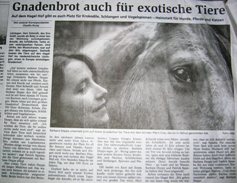 Bild vom Bericht